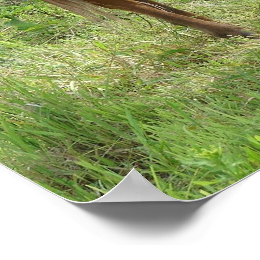 Scotch Eats Poster (Hoek)