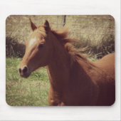 Scotch in Motion Muismat (Voorkant)