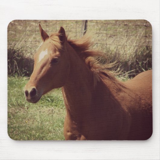 Scotch in Motion Muismat (Voorkant)