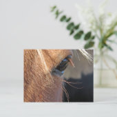 Scotchextremcloseup Briefkaart (Staand voorkant)