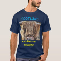 Scotland Funny Long Hair Koe