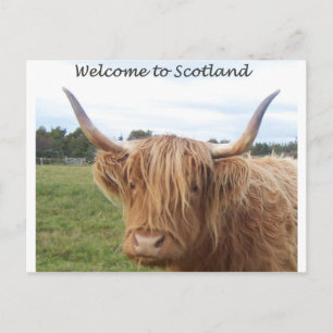 SCOTLANDPOSTCARD.jpg Briefkaart