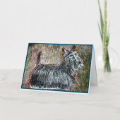 Scotti Music Kaart (Voorkant)