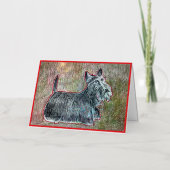 Scotti Wenskaart Kaart (Voorkant)