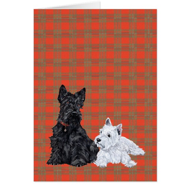 Scottie Adult & Westie Puppy (Devant)