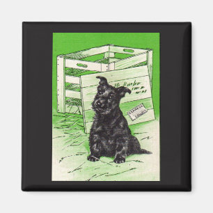 Scottie dog via speciale levering magneet