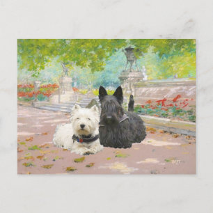 Scottie en Westie in een tuin Briefkaart