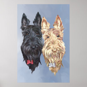 Scottie Honden Poster