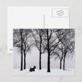 Scottie in besneeuwde bossen briefkaart (Voorkant / Achterkant)