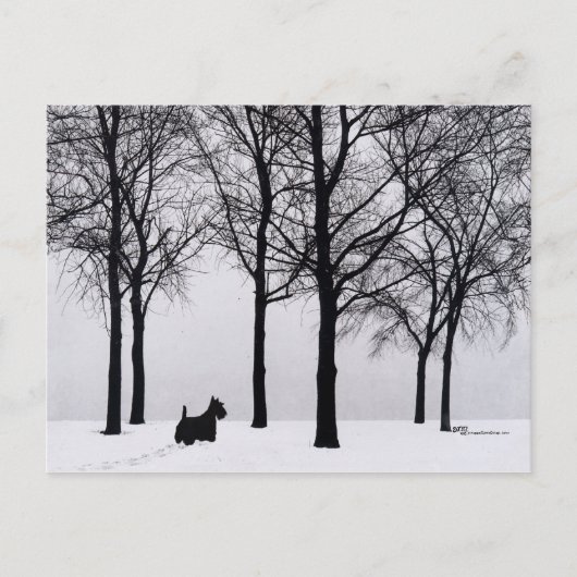 Scottie in besneeuwde bossen briefkaart (Voorkant)