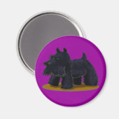 Scottie Magnet (Recto/Verso)