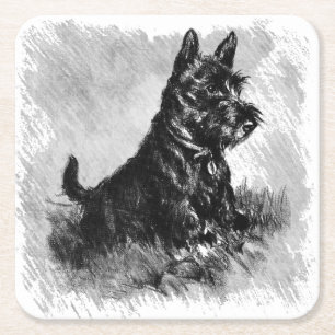 Scottie Puppy Charcoal Style Print Vierkante Kartonnen Onderzetter