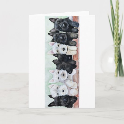 Scottie Pups Kaart (Voorkant)