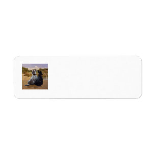 SCOTTIE Retouradreslabels Etiket