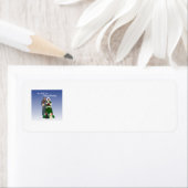 SCOTTIE Return Address Labels (Insitu)