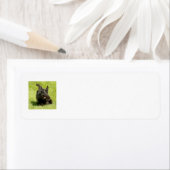 SCOTTIE Return Address Labels (Insitu)