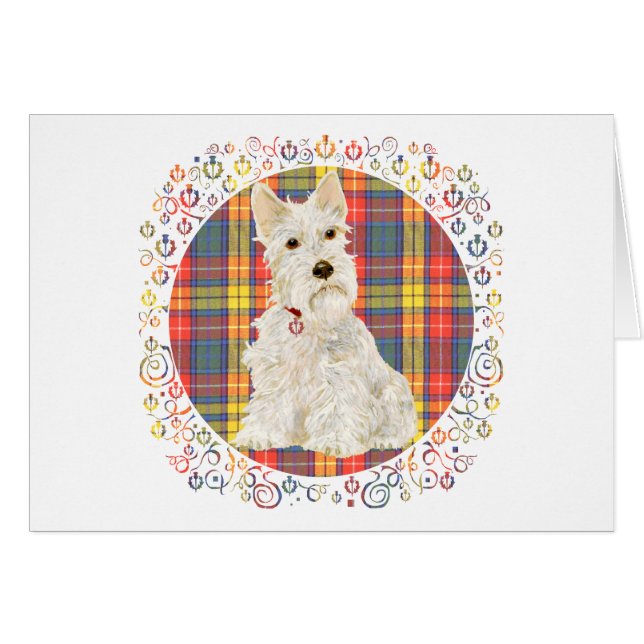 Scottie roux sur tartan Buchanan (Devant horizontal)