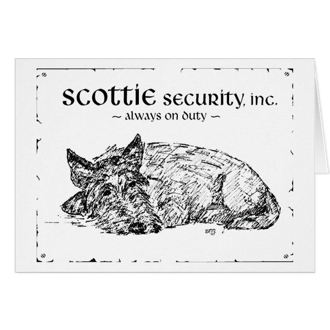 Scottie Schets - Beveiliging? (Voorkant Horizontaal)