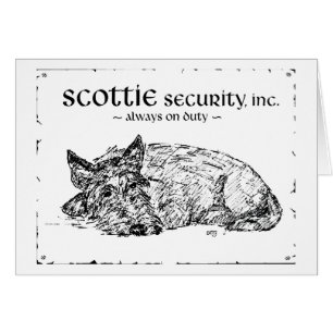 Scottie Sketch - Sécurité ?