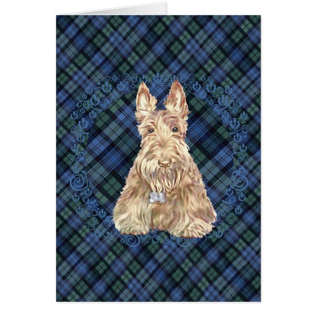 Scottie Tartan (Devant)