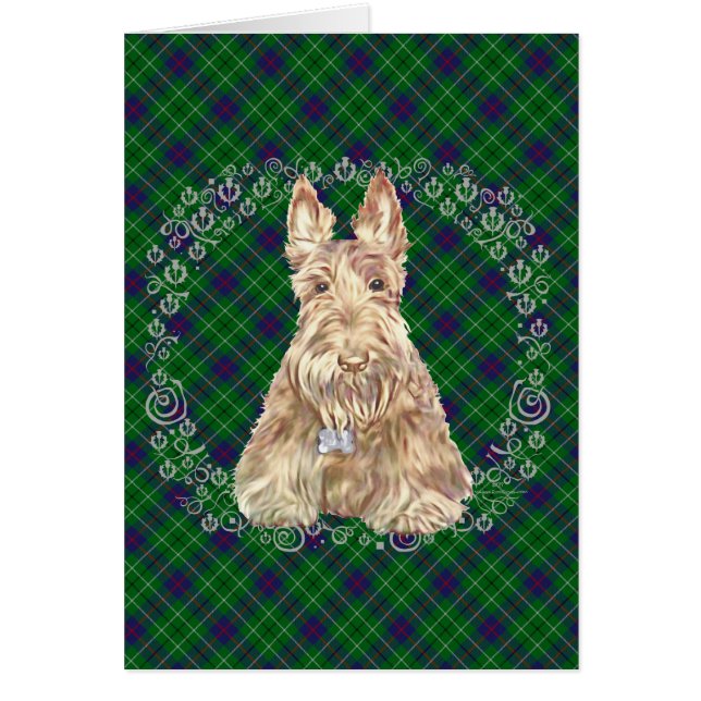 Scottie Tartan Duncan (Devant)