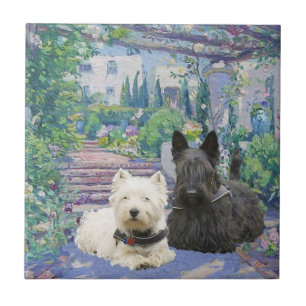 Scottie & Westie in een knusse tuin Tegeltje