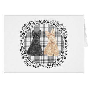 Scotties tartan