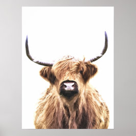 Scottish animal portret van de koe Highland Poster
