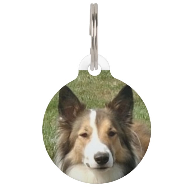 Scottish Collie Dog. Huisdierpenning (Voorkant)