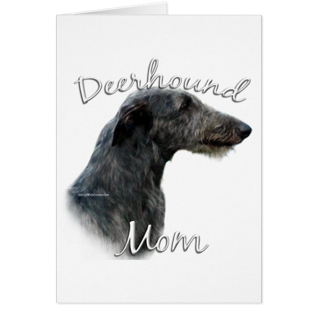 Scottish Deerhound Maman 2 (Devant)