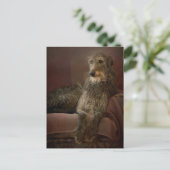 Scottish deerhound on a sofa briefkaart (Staand voorkant)