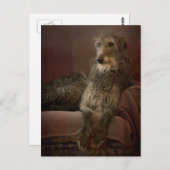 Scottish deerhound on a sofa briefkaart (Voorkant / Achterkant)