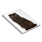 Scottish Fold (18 maanden oud) zittend Notitieboek (Rechterzijde)