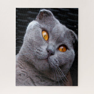 Scottish Fold Cat Pedigree Legpuzzel