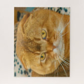 Scottish Fold Cat Pedigree Legpuzzel (Verticaal)