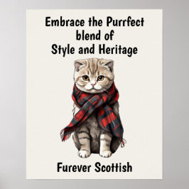 Scottish Fold Cat Poster