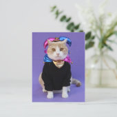 Scottish Fold Jester Briefkaart (Staand voorkant)
