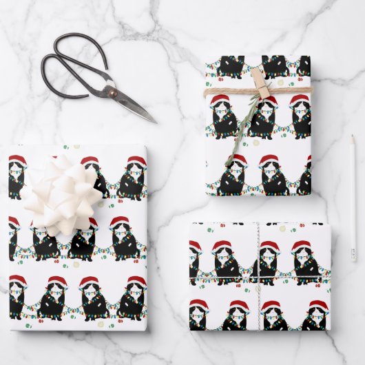 Scottish Fold Kerstproblemen Inpakpapier Vel (Voorkant)