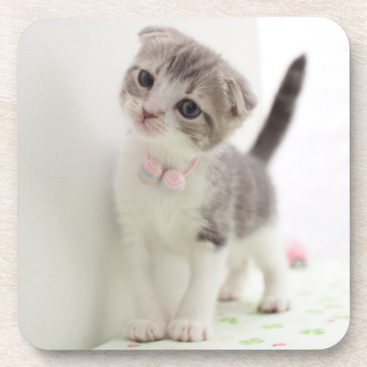 Scottish Fold Kitten Drankjes Onderzetter (Voorkant)