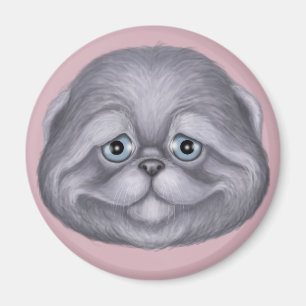 Scottish Fold Kitten Magneet