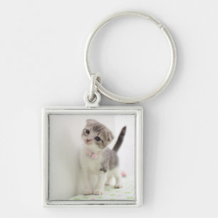 Scottish Fold Kitten Sleutelhanger