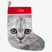 Scottish Fold Kleine Kerstsok (Voorkant)