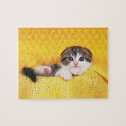 Scottish Fold Legpuzzel (Horizontaal)