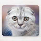 Scottish Fold Muismat (Voorkant)