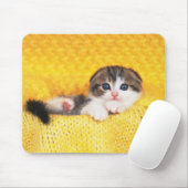 Scottish Fold Muismat (Met muis)