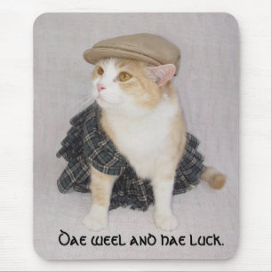 Scottish Fold Muismat