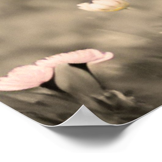 Scottish Highland Calf Baby Koe Miniature Sepia Poster (Hoek)