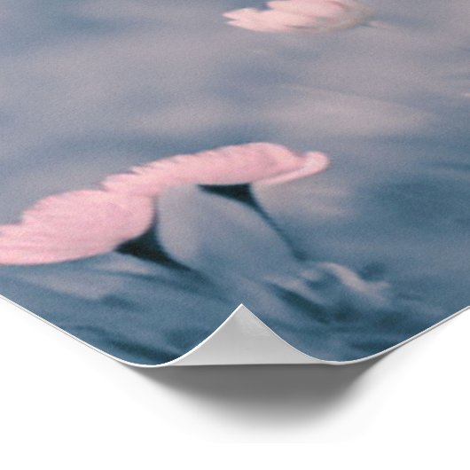 Scottish Highland Calf Baby Koe Roze Tint Print (Hoek)