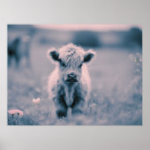 Scottish Highland Calf Baby Koe Roze Tint Print (Voorkant)