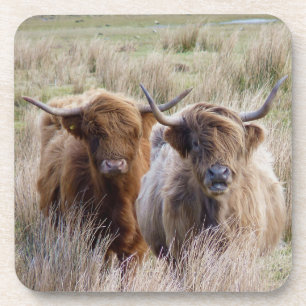 Scottish Highland Cattle Bier Onderzetter